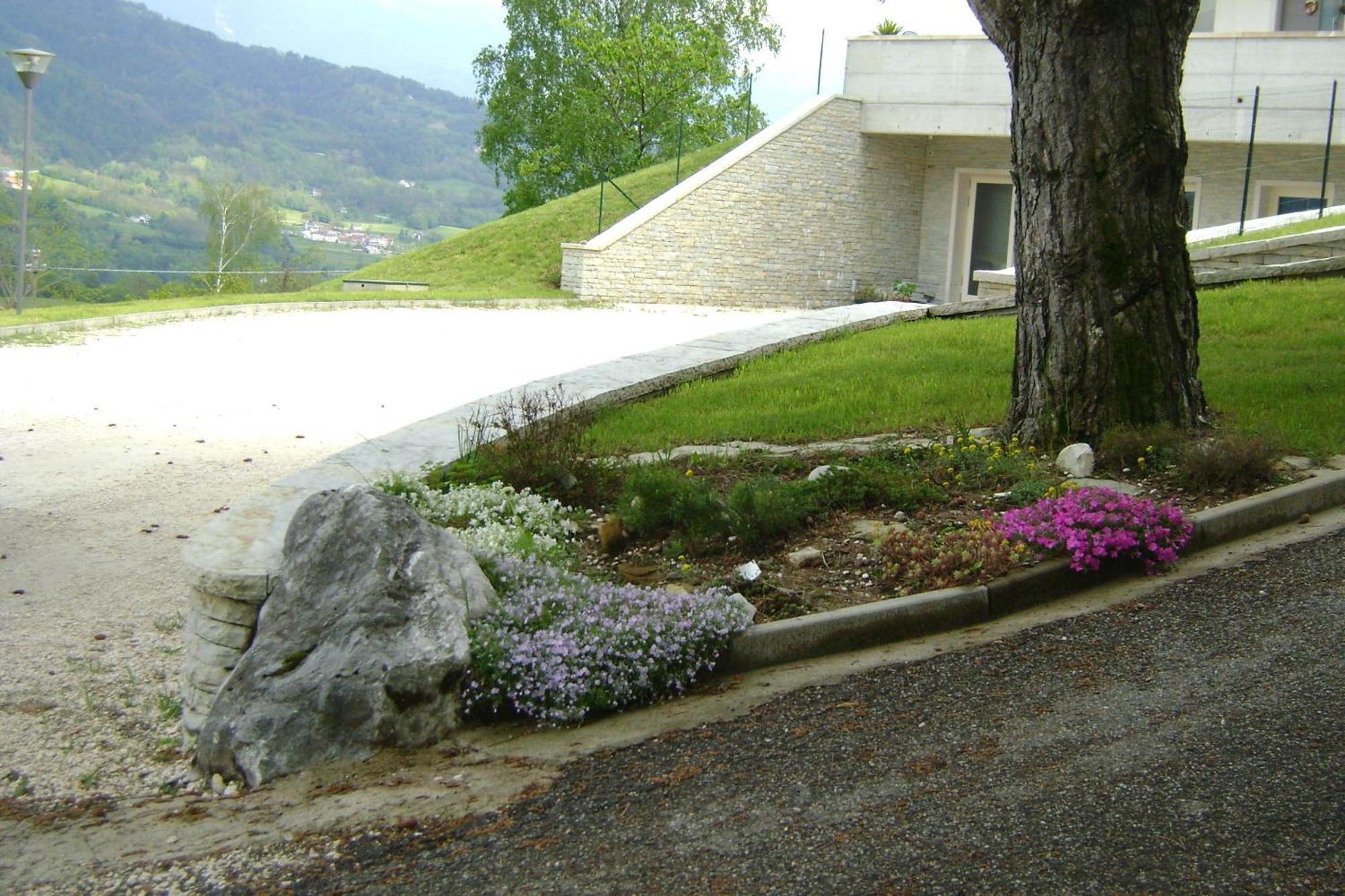 Affittacamere Rubino Guest House Ponte nellʼAlpi エクステリア 写真