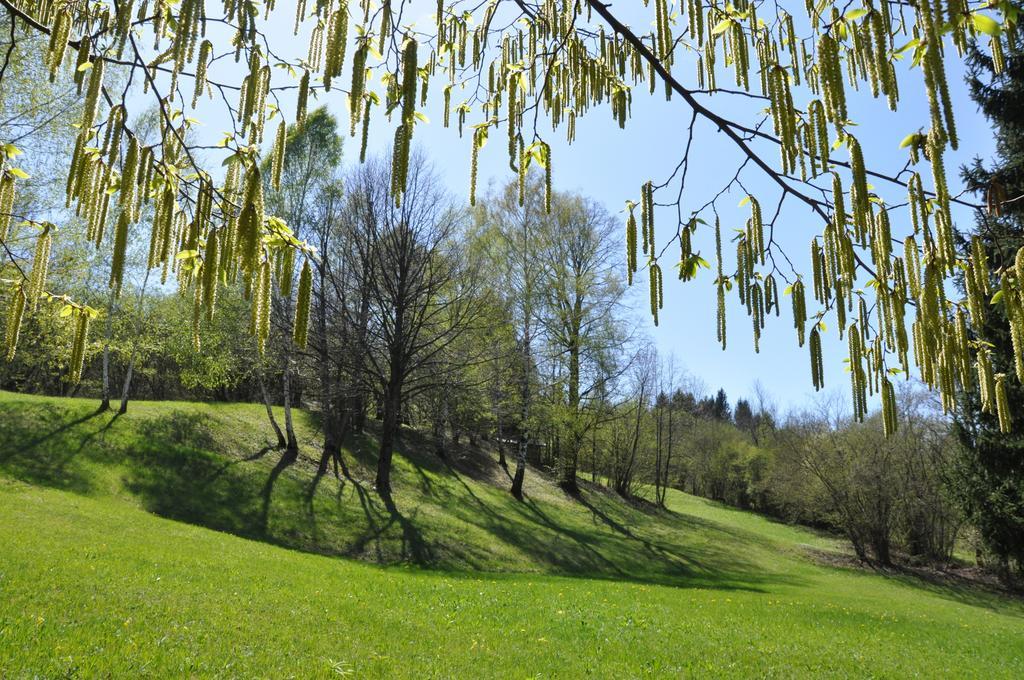 Affittacamere Rubino Guest House Ponte nellʼAlpi エクステリア 写真