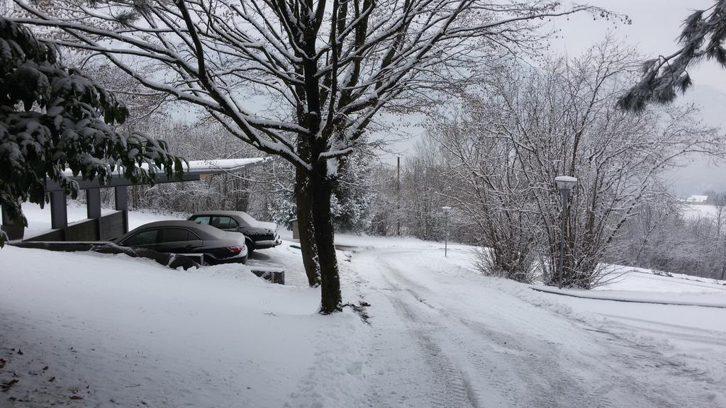 Affittacamere Rubino Guest House Ponte nellʼAlpi エクステリア 写真